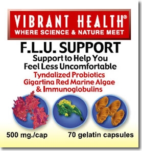 FLU Support (70 capsules) Vibrant Health